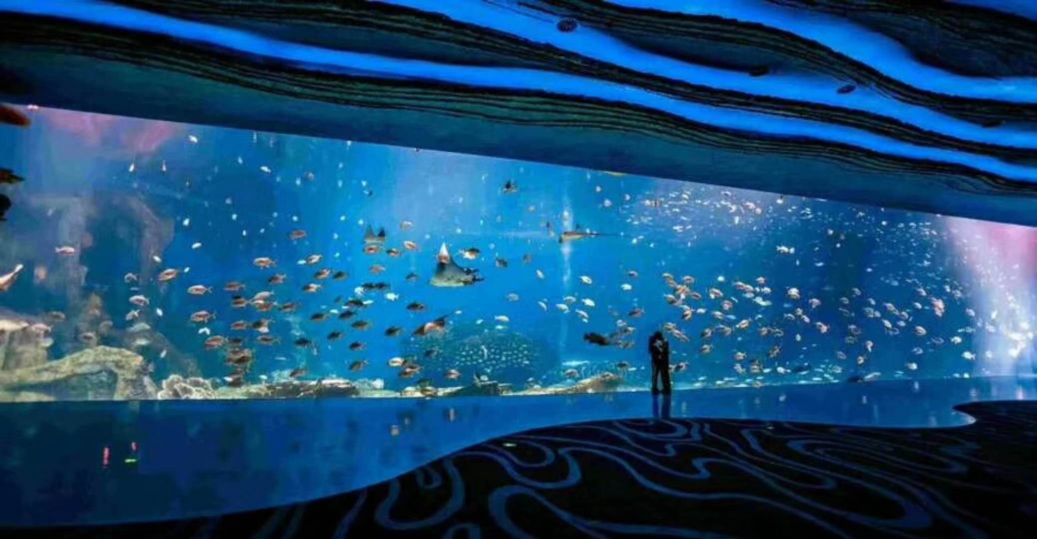 海洋館水族館生物養(yǎng)殖用水臭氧殺菌，滅藻